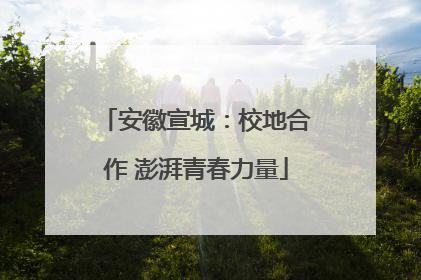 安徽宣城：校地合作 澎湃青春力量