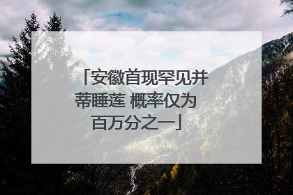 安徽首现罕见并蒂睡莲 概率仅为百万分之一