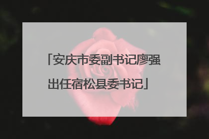 安庆市委副书记廖强出任宿松县委书记