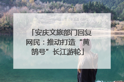 安庆文旅部门回复网民：推动打造“黄鹄号”长江游轮