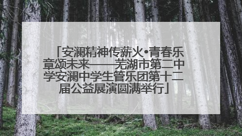 安澜精神传薪火•青春乐章颂未来——芜湖市第二中学安澜中学生管乐团第十二届公益展演圆满举行