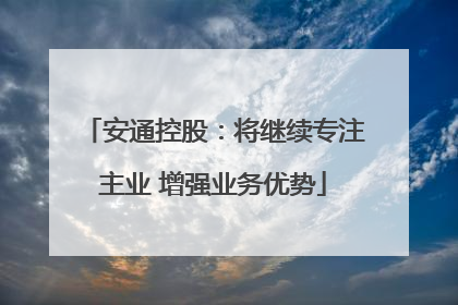 安通控股：将继续专注主业 增强业务优势