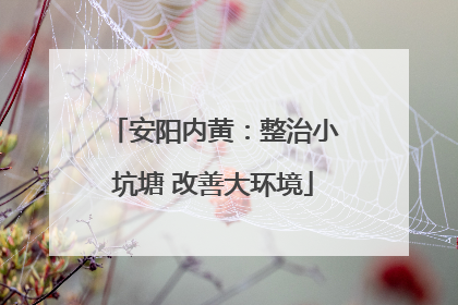 安阳内黄：整治小坑塘 改善大环境