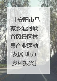 安阳市马家乡洹河峡谷风景区林果产业蓬勃发展 助力乡村振兴