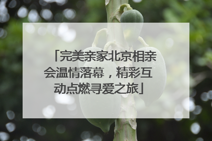 完美亲家北京相亲会温情落幕，精彩互动点燃寻爱之旅