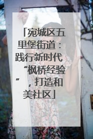 宛城区五里堡街道：践行新时代“枫桥经验”，打造和美社区