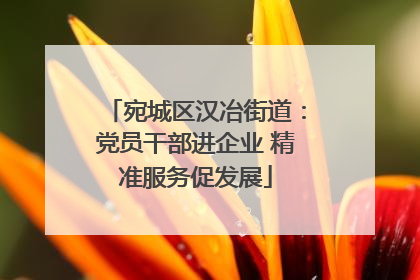 宛城区汉冶街道：党员干部进企业 精准服务促发展