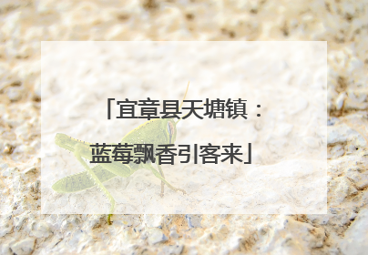 宜章县天塘镇：蓝莓飘香引客来