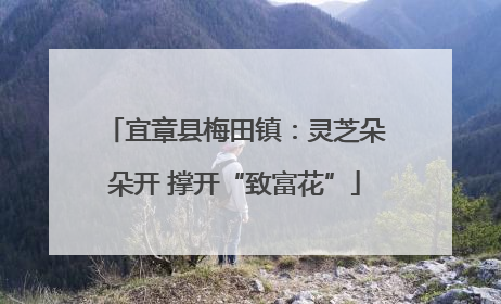 宜章县梅田镇：灵芝朵朵开 撑开“致富花”