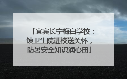 宜宾长宁梅白学校：镇卫生院进校送关怀，防暑安全知识润心田