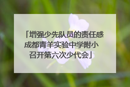 增强少先队员的责任感 成都青羊实验中学附小召开第六次少代会