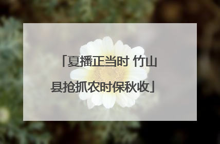 夏播正当时 竹山县抢抓农时保秋收