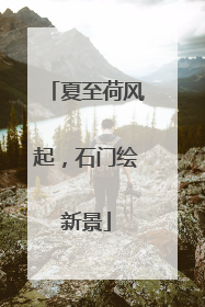 夏至荷风起，石门绘新景