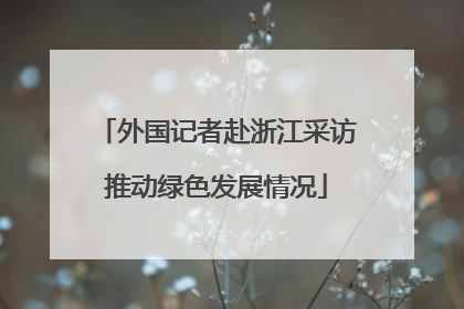 外国记者赴浙江采访推动绿色发展情况