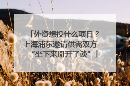 外资想投什么项目？上海浦东邀请供需双方“坐下来掰开了谈”