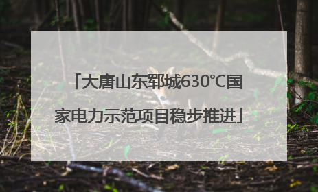 大唐山东郓城630℃国家电力示范项目稳步推进