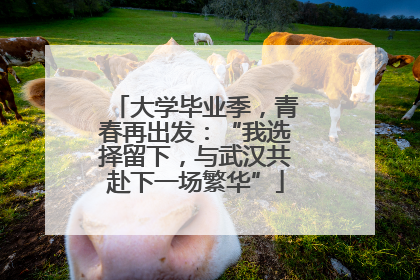 大学毕业季，青春再出发：“我选择留下，与武汉共赴下一场繁华”