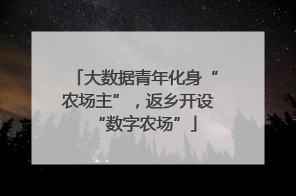 大数据青年化身“农场主”，返乡开设“数字农场”