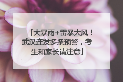 大暴雨+雷暴大风！武汉连发多条预警，考生和家长请注意