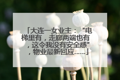 大连一女业主：“电梯里有，走廊两端也有，这令我没有安全感”，物业最新回应……