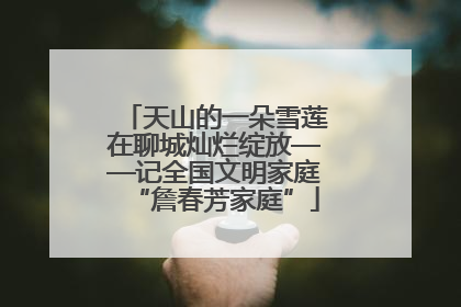 天山的一朵雪莲在聊城灿烂绽放——记全国文明家庭“詹春芳家庭”