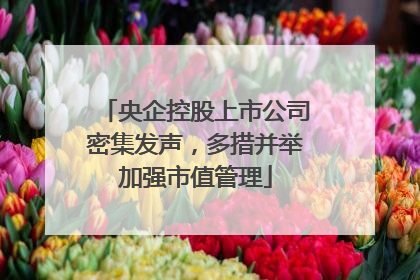 央企控股上市公司密集发声，多措并举加强市值管理