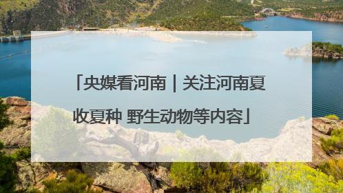 央媒看河南｜关注河南夏收夏种 野生动物等内容
