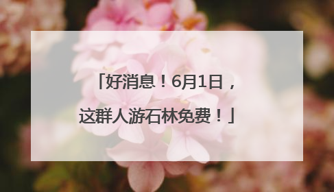 好消息！6月1日，这群人游石林免费！