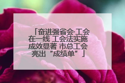 奋进强省会·工会在一线 工会法实施成效显著 市总工会亮出“成绩单”
