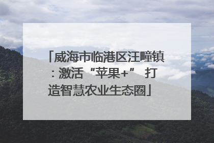 威海市临港区汪疃镇：激活“苹果+” 打造智慧农业生态圈