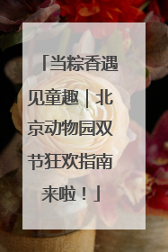 当粽香遇见童趣｜北京动物园双节狂欢指南来啦！