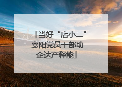 当好“店小二” 襄阳党员干部助企达产释能