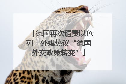 德国再次谴责以色列，外媒热议“德国外交政策转变”
