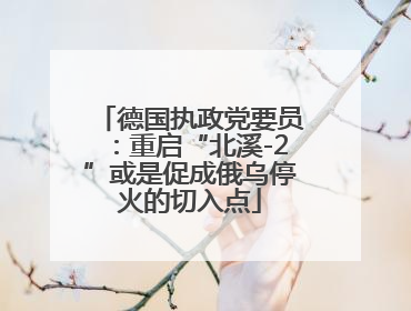 德国执政党要员：重启“北溪-2”或是促成俄乌停火的切入点
