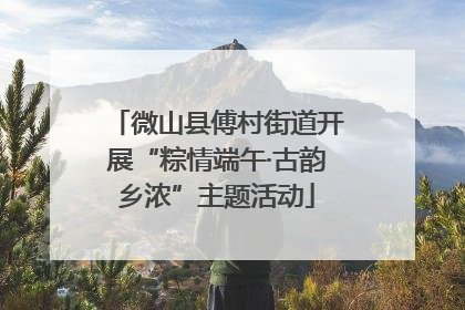 微山县傅村街道开展“粽情端午·古韵乡浓”主题活动