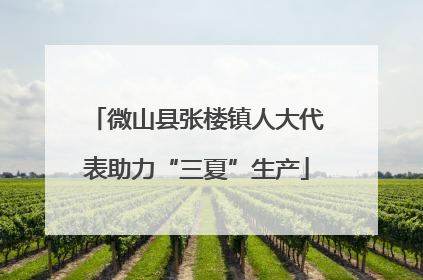 微山县张楼镇人大代表助力“三夏”生产
