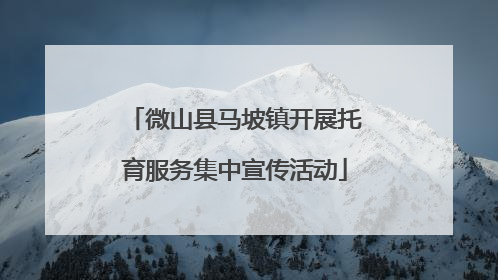 微山县马坡镇开展托育服务集中宣传活动