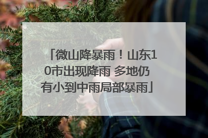微山降暴雨！山东10市出现降雨 多地仍有小到中雨局部暴雨