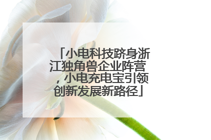 小电科技跻身浙江独角兽企业阵营，小电充电宝引领创新发展新路径