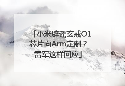 小米辟谣玄戒O1芯片向Arm定制？雷军这样回应