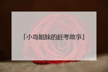 小岛姐妹的赶考故事