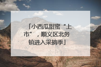 小西瓜甜蜜“上市”，顺义区北务镇进入采摘季