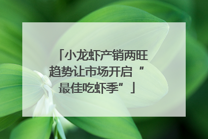 小龙虾产销两旺趋势让市场开启“最佳吃虾季”