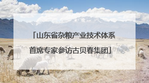 山东省杂粮产业技术体系首席专家参访古贝春集团