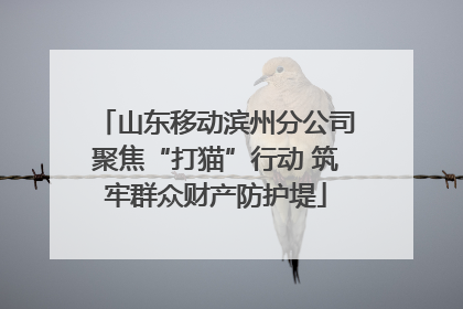 山东移动滨州分公司聚焦“打猫”行动 筑牢群众财产防护堤