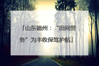 山东德州：“田间警务”为丰收保驾护航