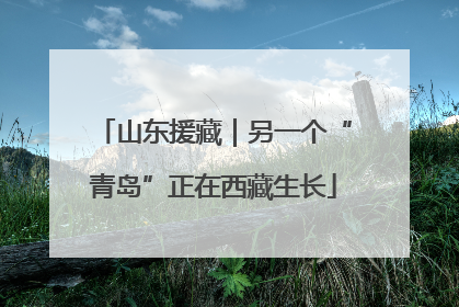 山东援藏｜另一个“青岛”正在西藏生长