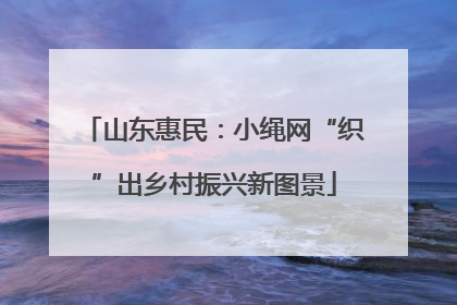 山东惠民：小绳网“织”出乡村振兴新图景