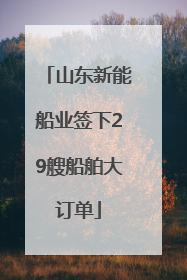 山东新能船业签下29艘船舶大订单