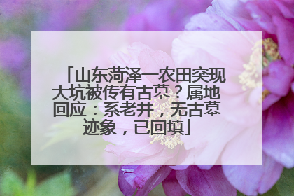 山东菏泽一农田突现大坑被传有古墓？属地回应：系老井，无古墓迹象，已回填